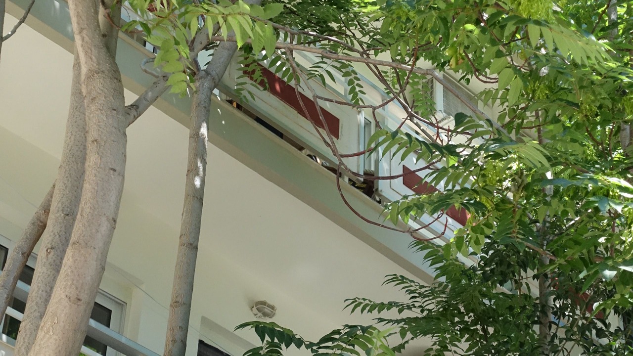 Photo of Outdoor in Kos