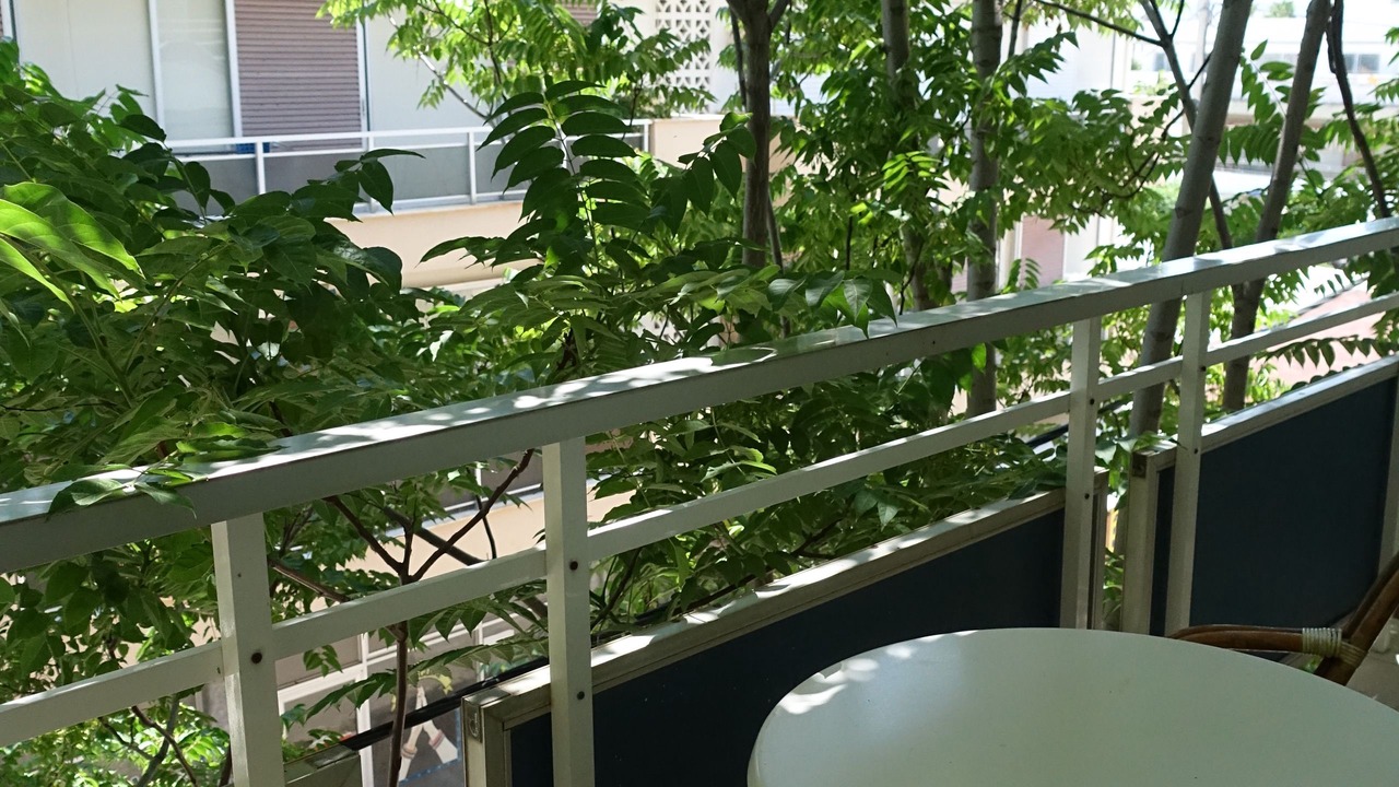 Photo of Patio Balcony in Kos