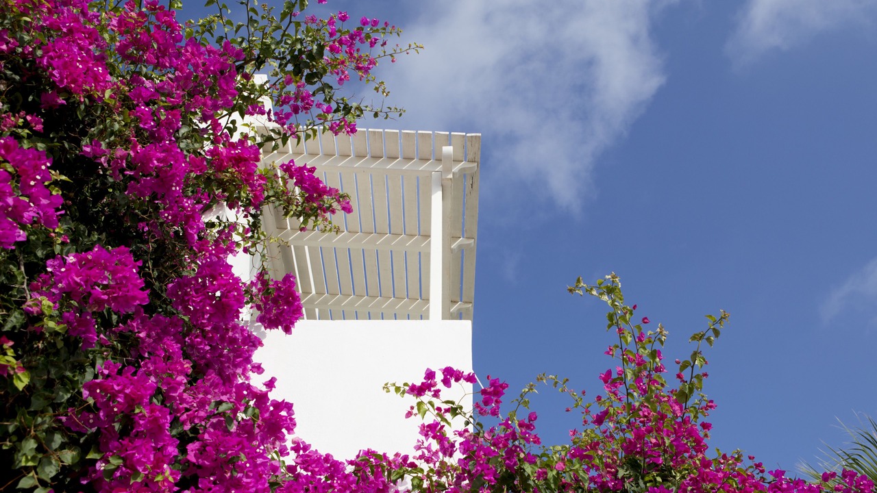 Photo of Bedroom in Imerovigli