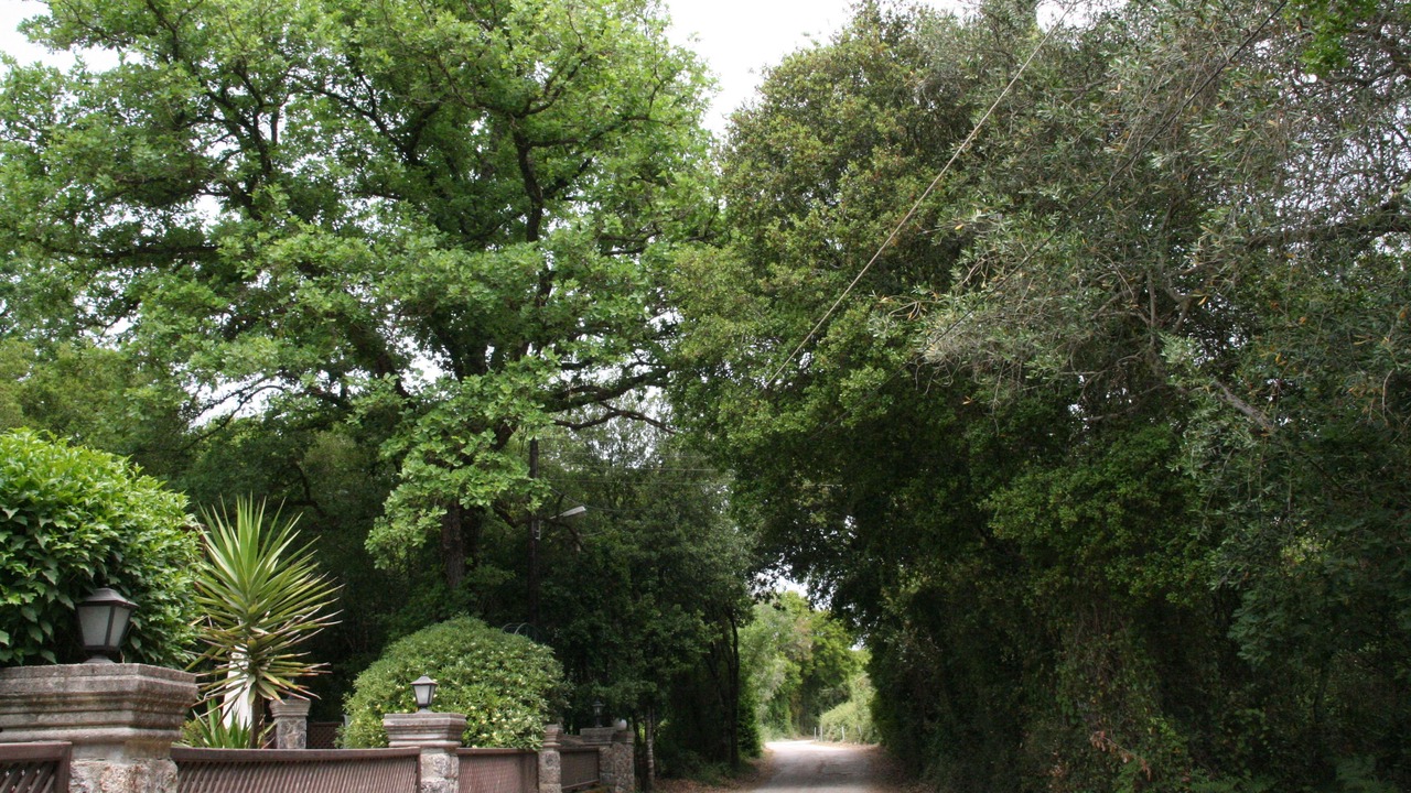 Photo of Outdoor in Tzavros