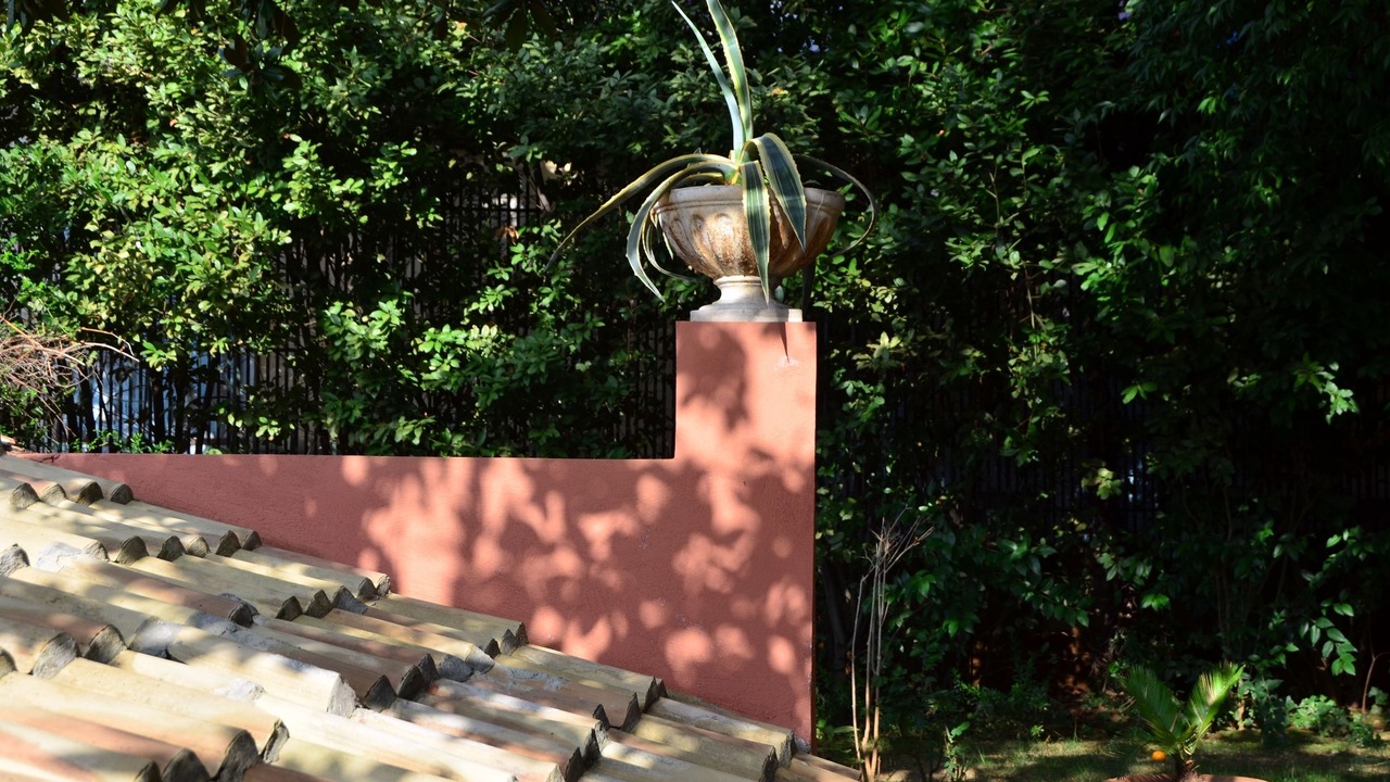 Photo of Outdoor in Old Town