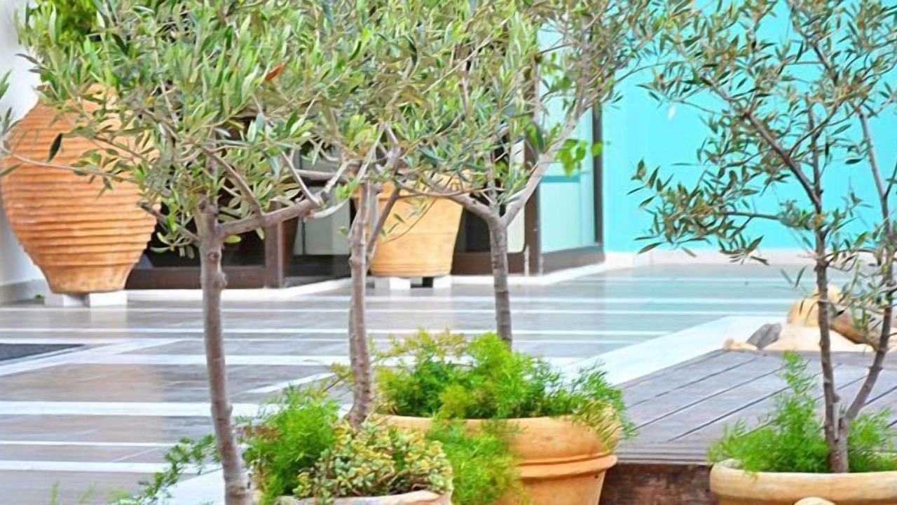 Photo of Outdoor in Voies