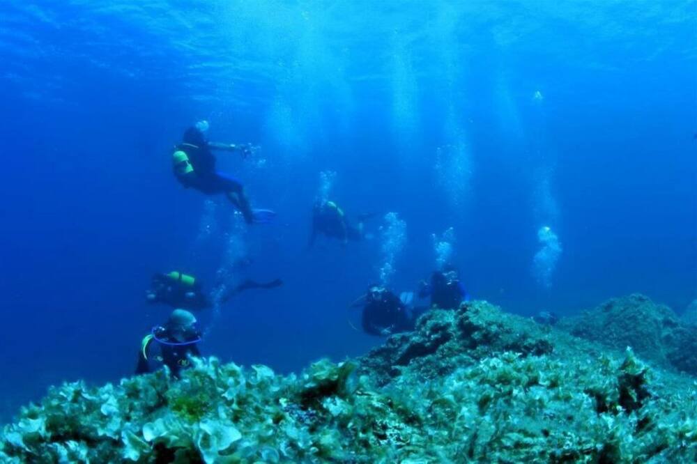 Photo of Others in Kokinos Pirgos