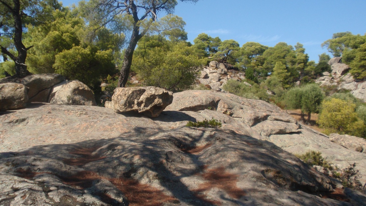 Photo of Outdoor in Elia
