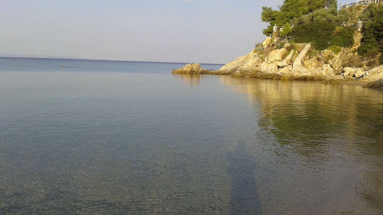 Photo of Others in Elia