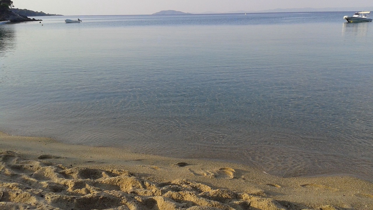 Photo of Others in Elia