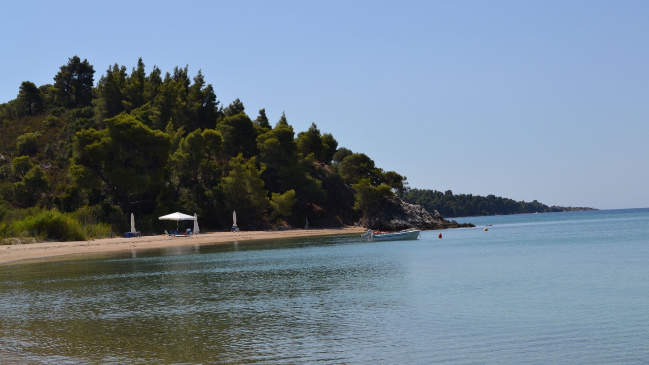 Photo of Others in Elia