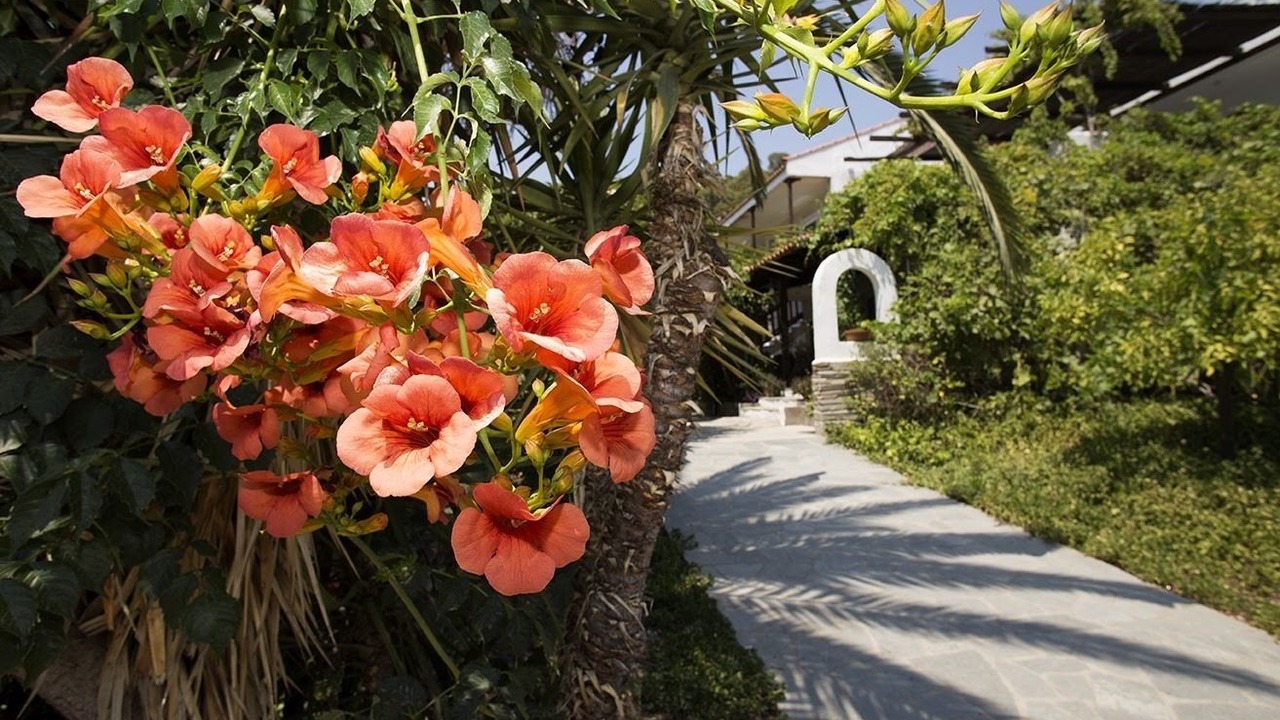 Photo of Outdoor in Elia