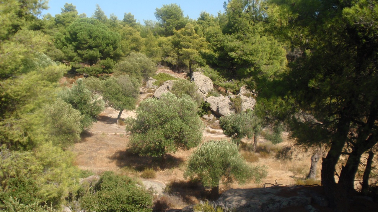 Photo of Outdoor in Elia