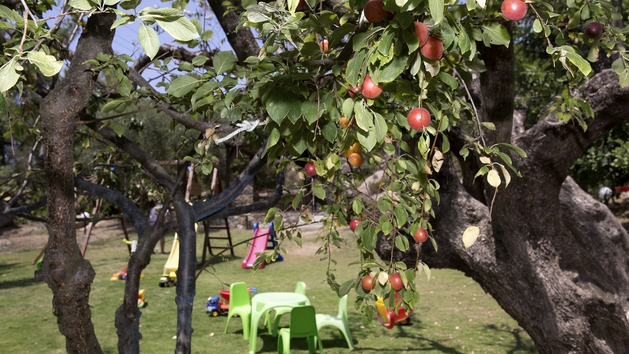 Photo of Outdoor in Elia