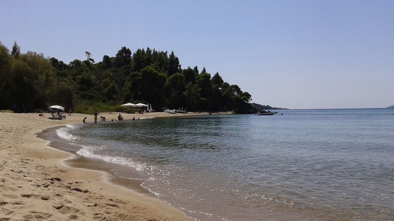 Photo of Others in Elia