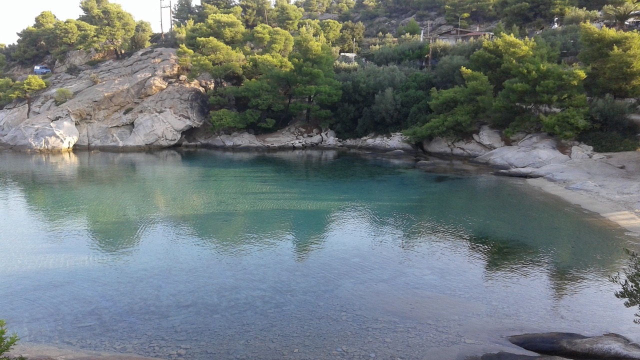 Photo of Others in Elia