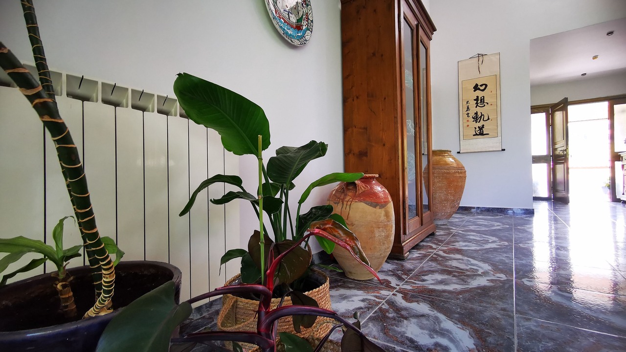 Photo of Livingroom in Tingaki