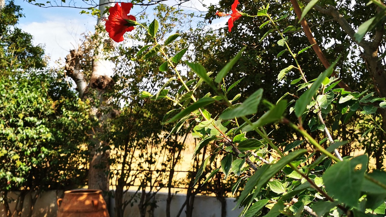 Photo of Outdoor in Tingaki