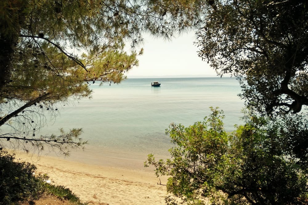 Photo of Others in Elia Nikitis