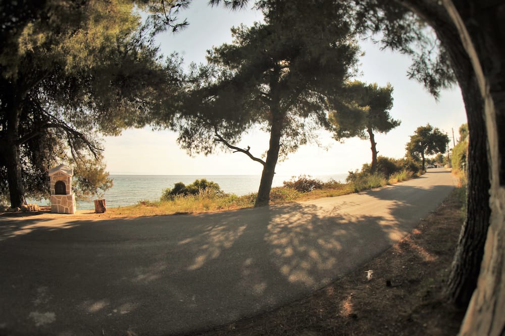 Photo of Others in Elia Nikitis