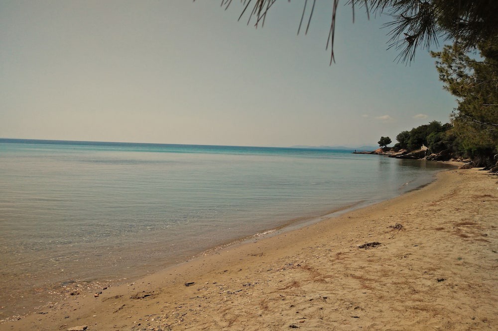 Photo of Others in Elia Nikitis