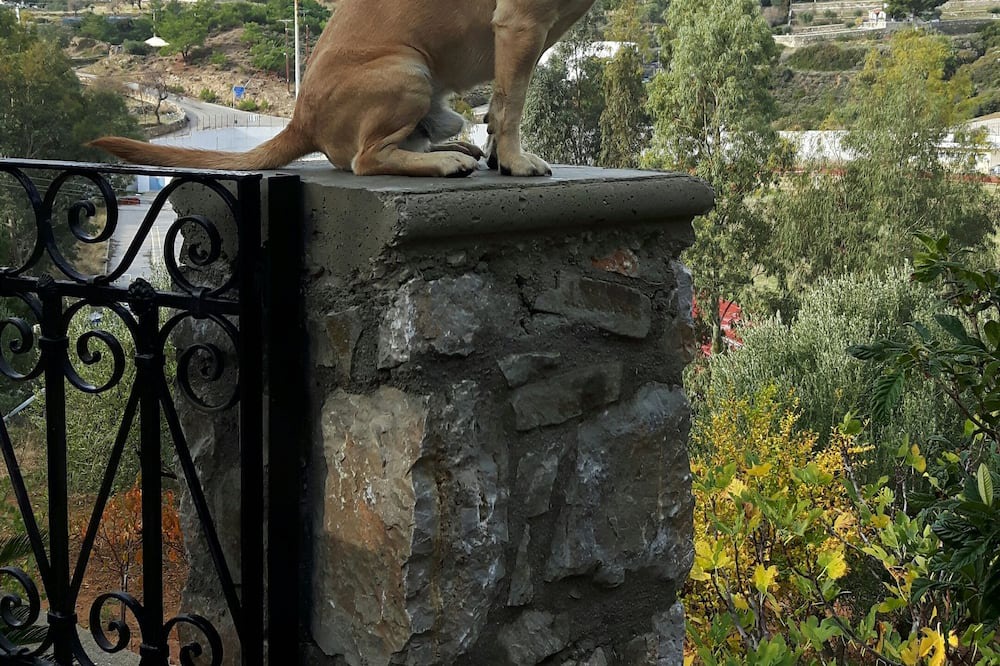Photo of Outdoor in Aperio