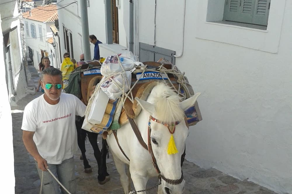 Photo of Others in Hydra