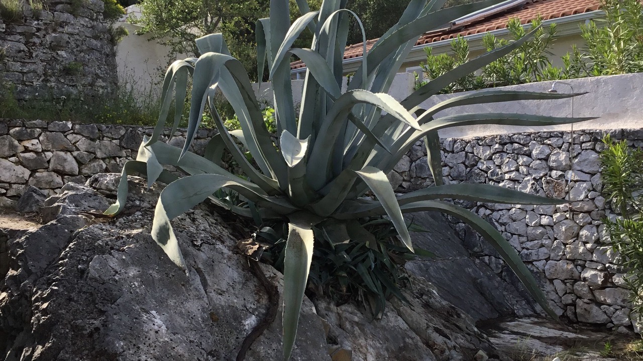 Photo of Outdoor in Katokhorion