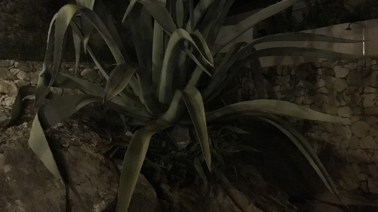 Photo of Outdoor in Katokhorion