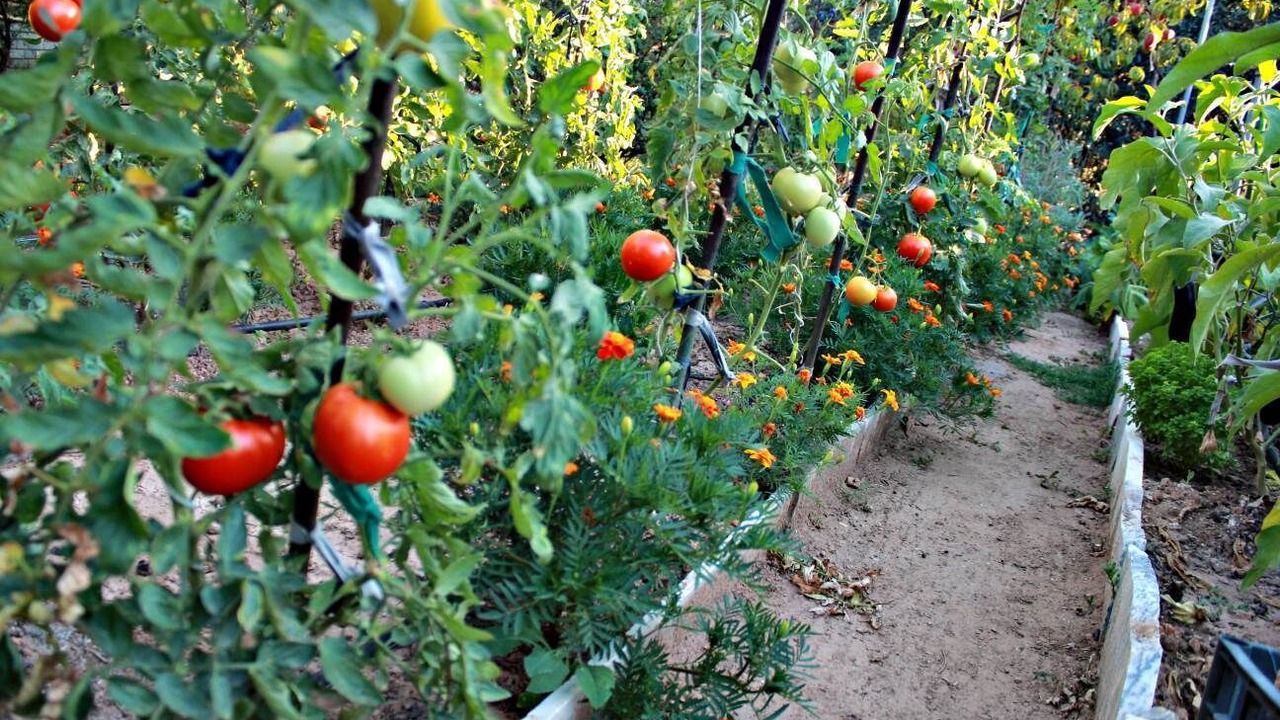 Photo of Outdoor in Skala Kallirachis