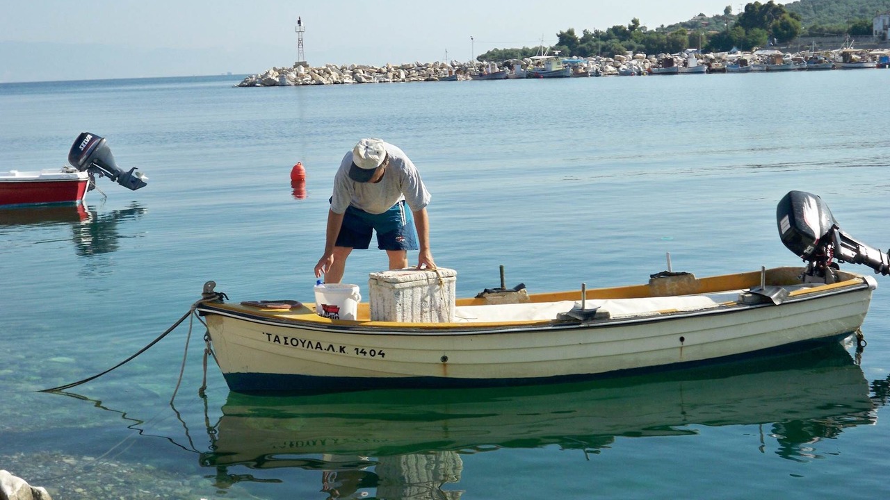 Photo of Others in Skala Kallirachis