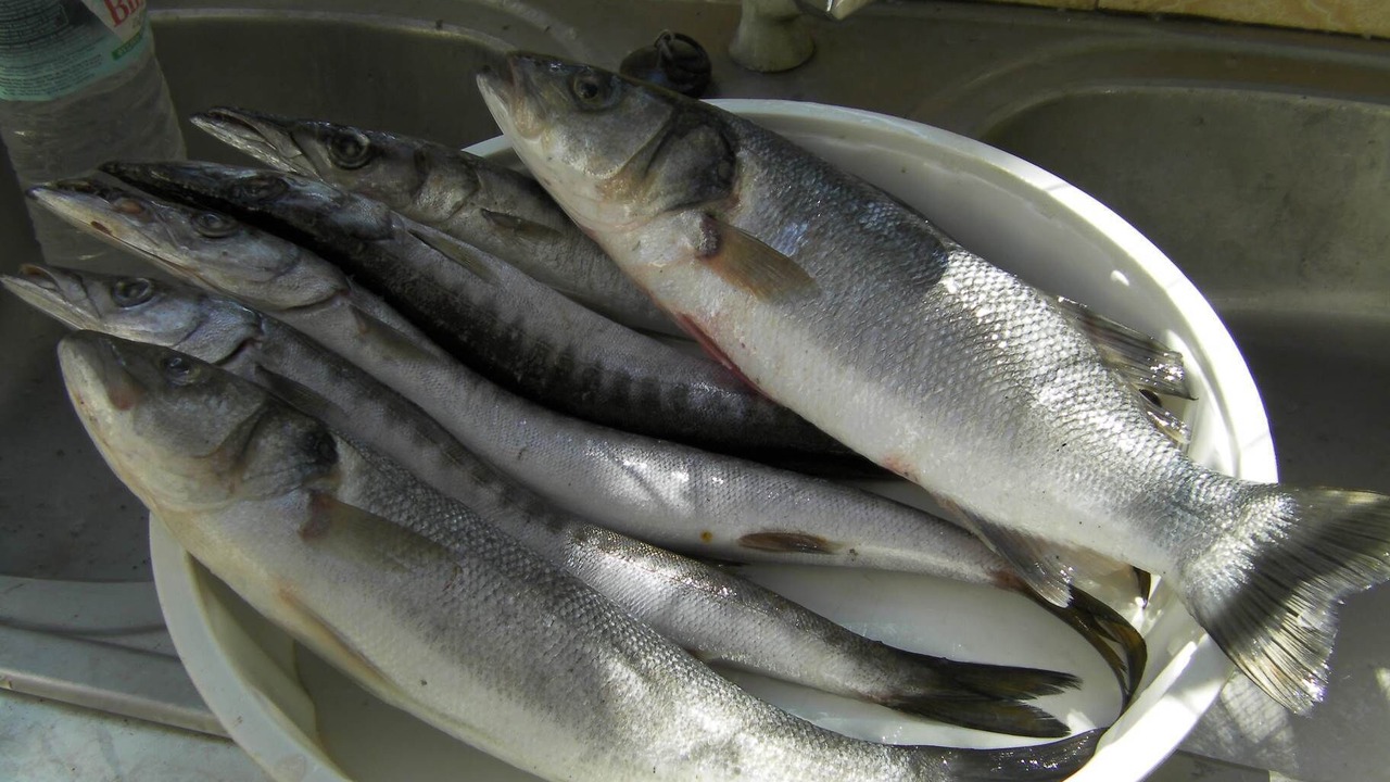 Photo of Others in Skala Kallirachis