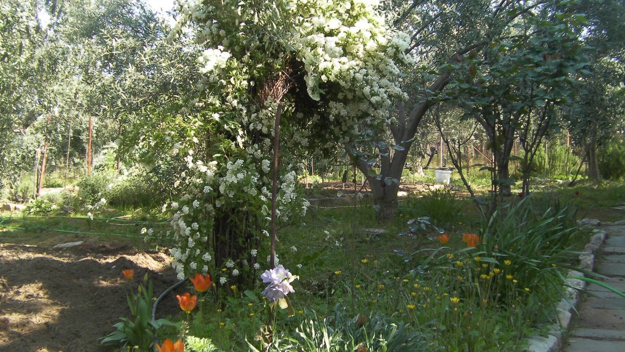 Photo of Outdoor in Skala Kallirachis
