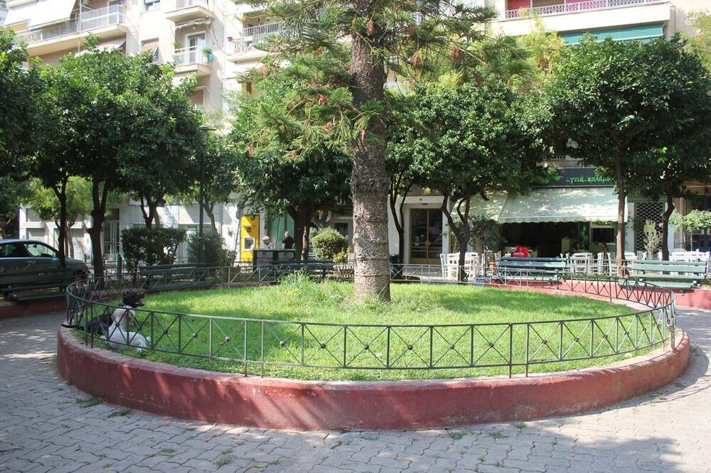 Photo of Others in Athens
