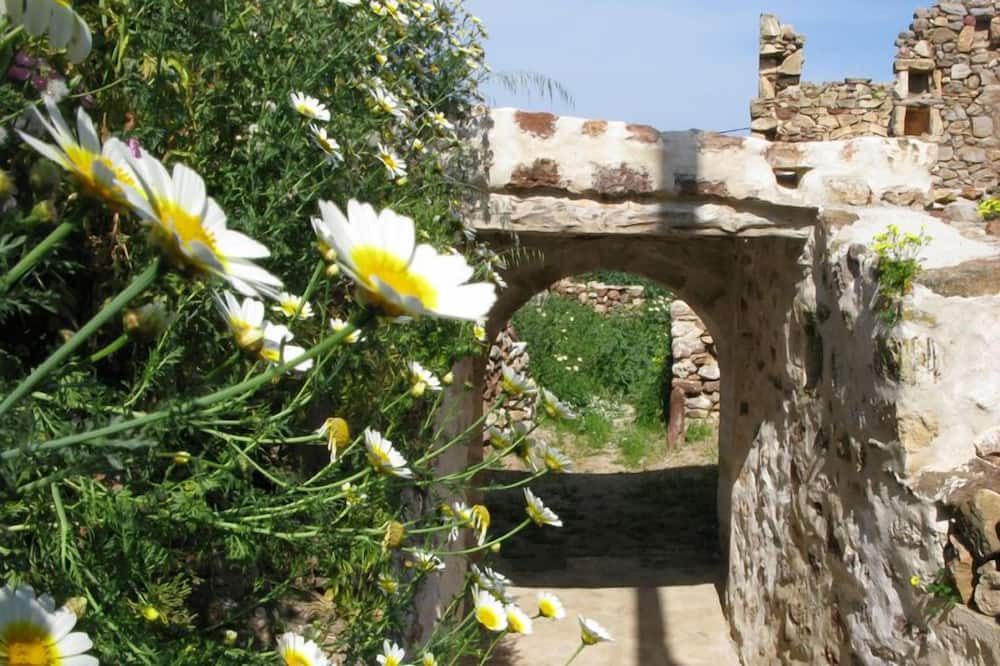 Photo of Patio Balcony in Psathi