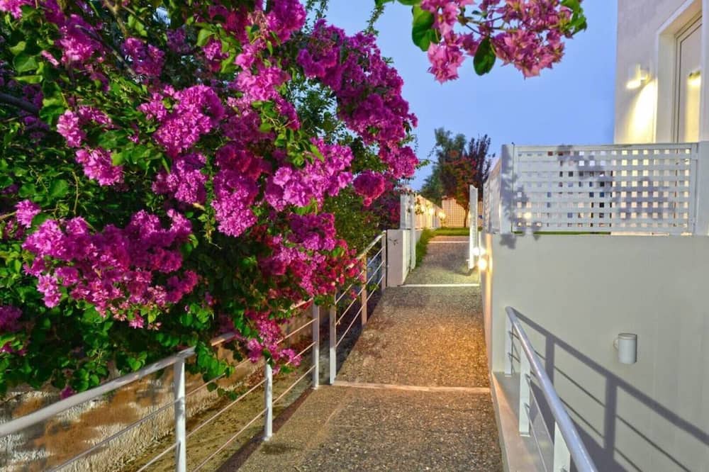 Photo of Outdoor in Platanes