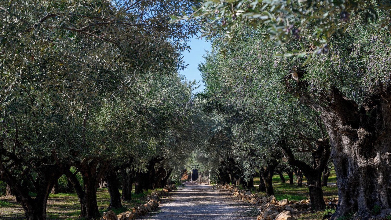 Photo of Outdoor in Pylos