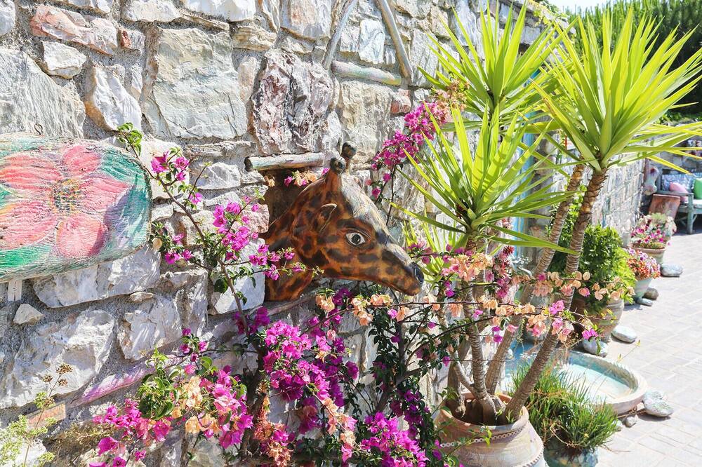 Photo of Outdoor in Achladies