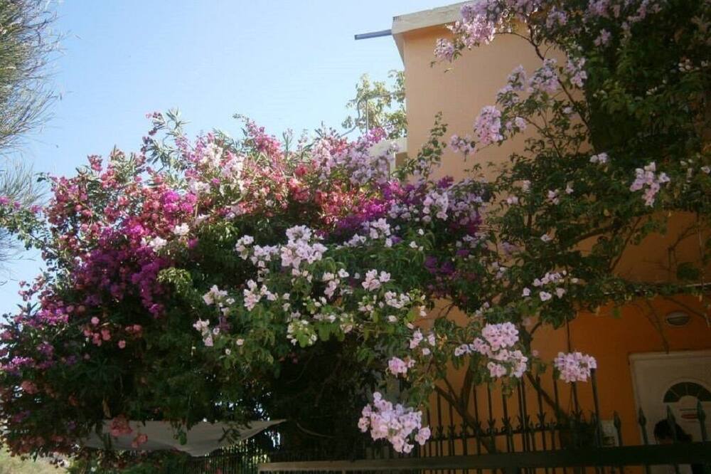 Photo of Outdoor in Parga