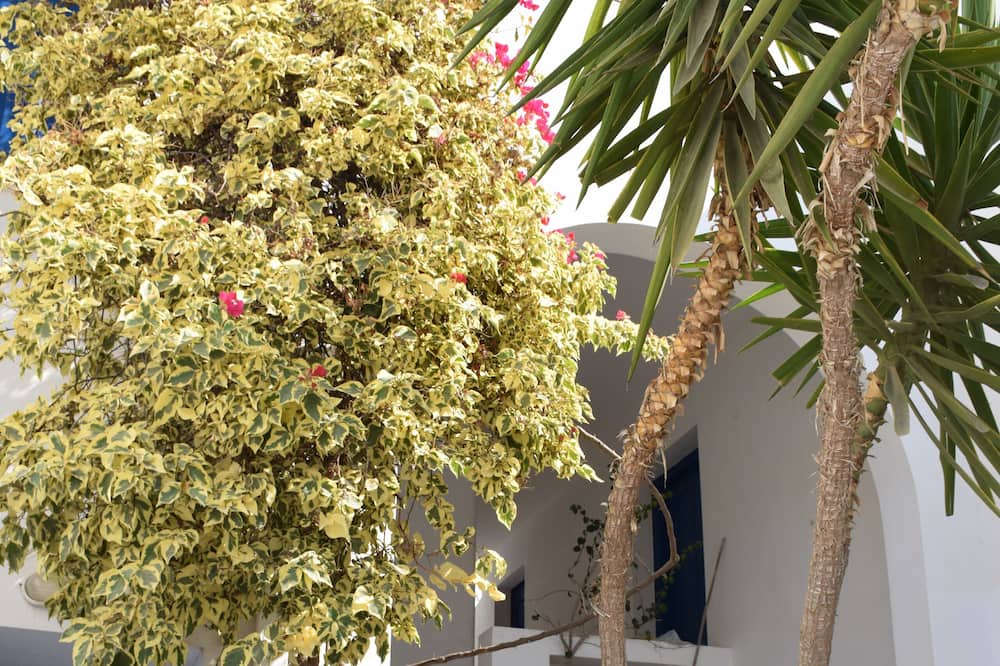 Photo of Others in Serifos