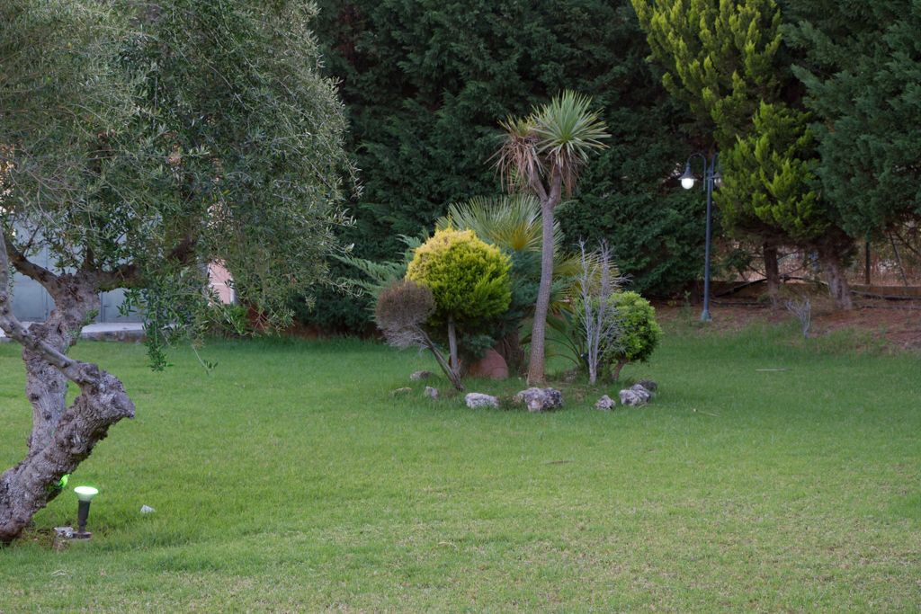 Photo of Outdoor in Sternes