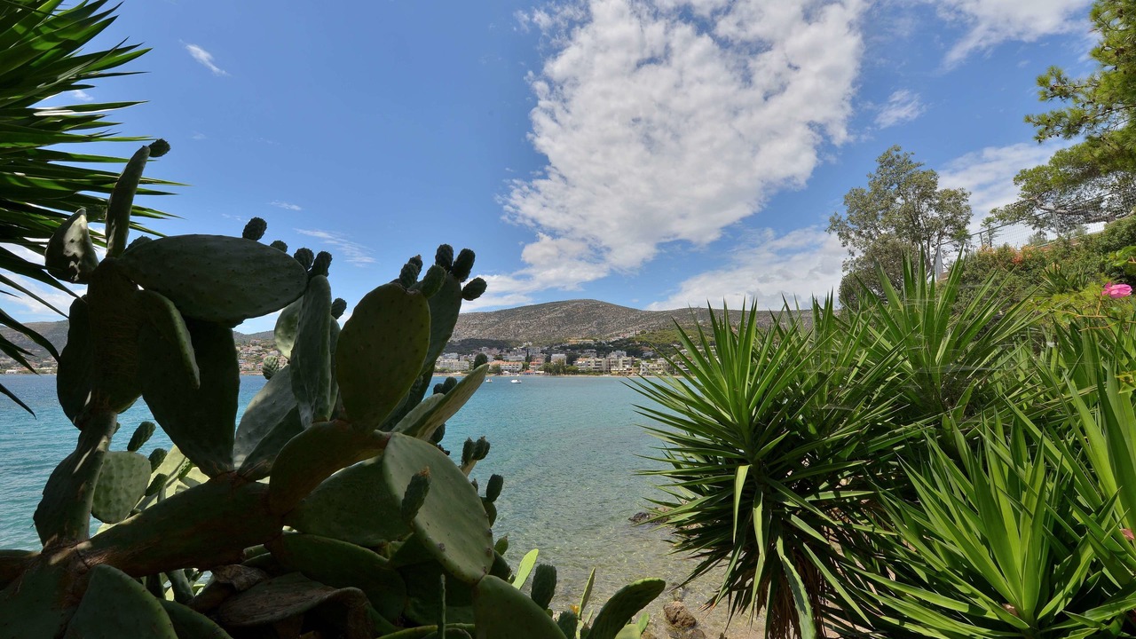 Photo of Others in Porto Rafti