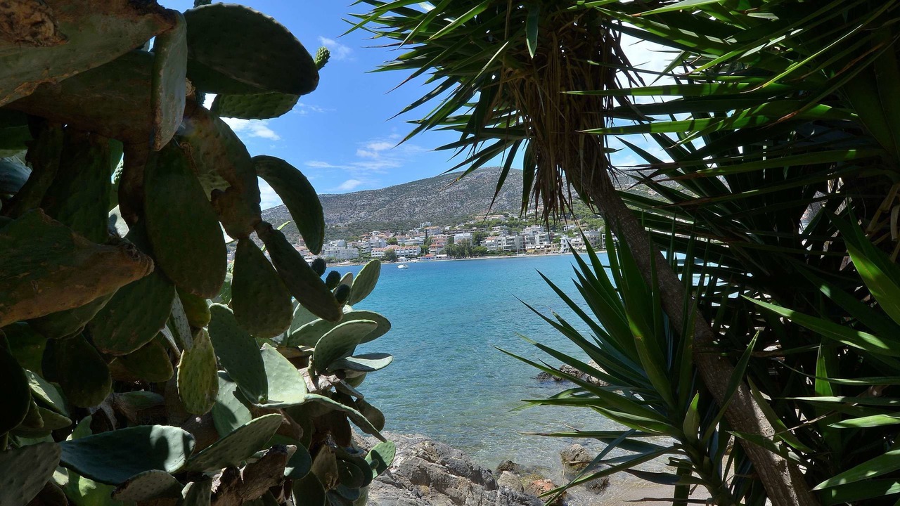 Photo of Outdoor in Porto Rafti