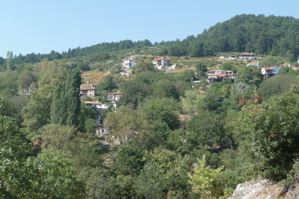 Photo of Others in Poroi