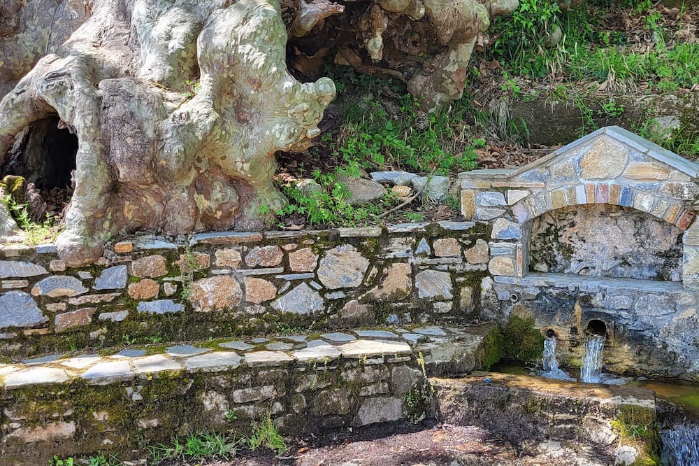Photo of Outdoor in Poroi