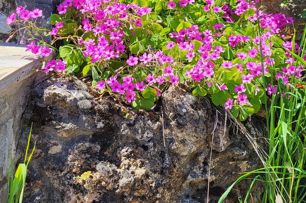 Photo of Outdoor in Poroi