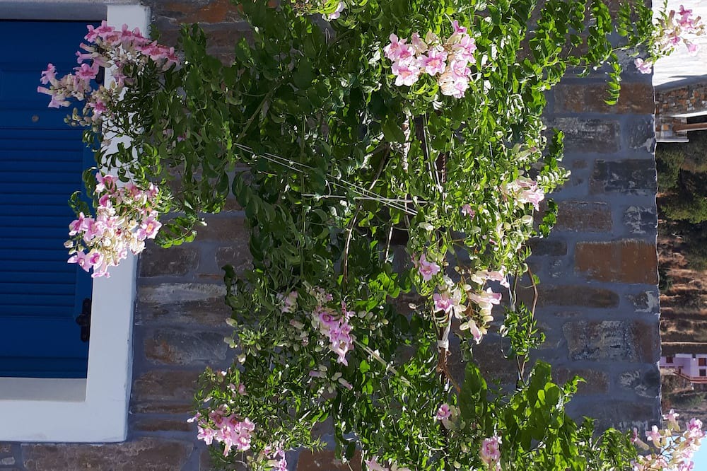 Photo of Outdoor in Rogon