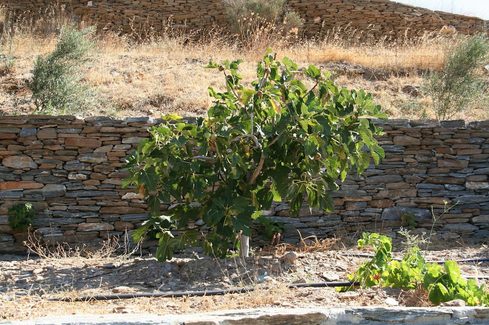 Photo of Outdoor in Rogon