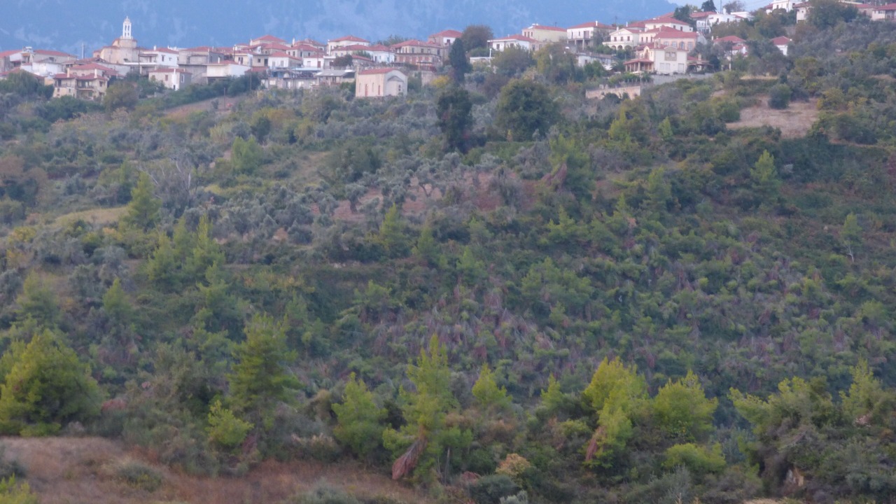 Photo of Outdoor in Enoria