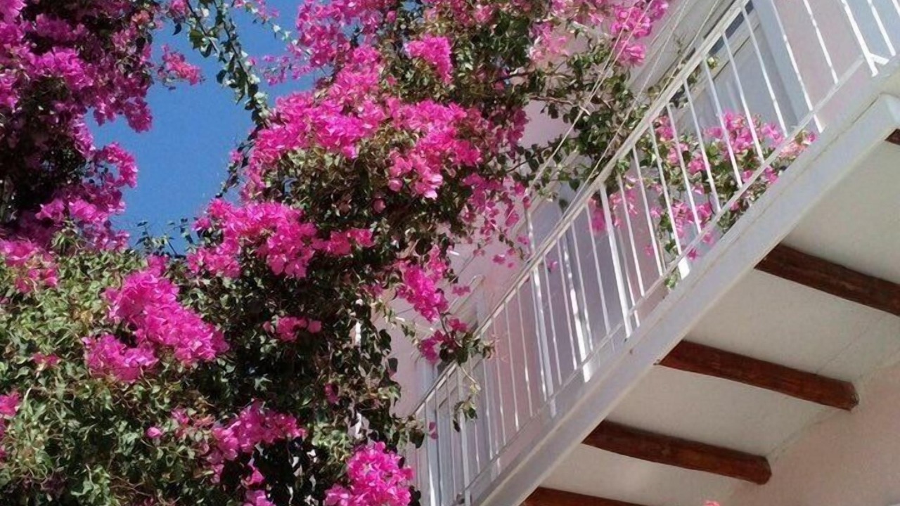 Photo of Outdoor in Ano Siros