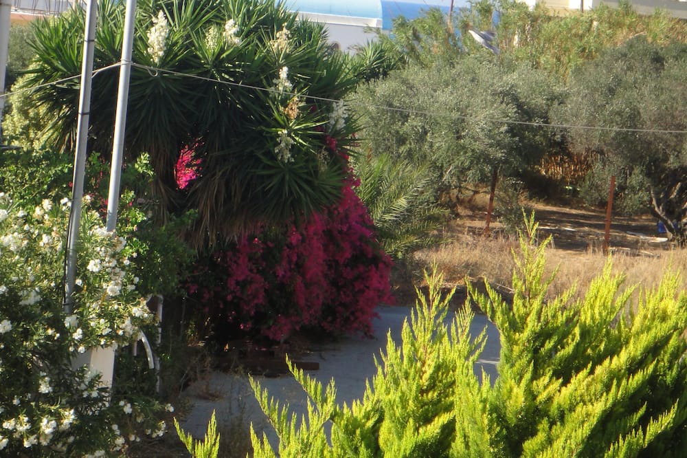 Photo of Outdoor in Kolymvari