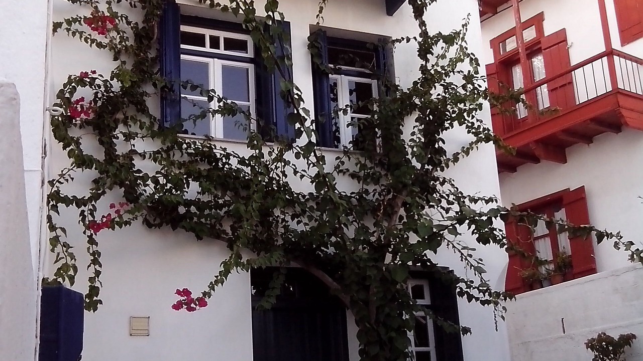 Photo of Outdoor in Skopelos