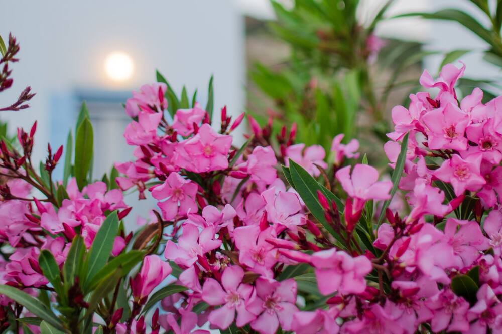 Photo of Outdoor in Magganari