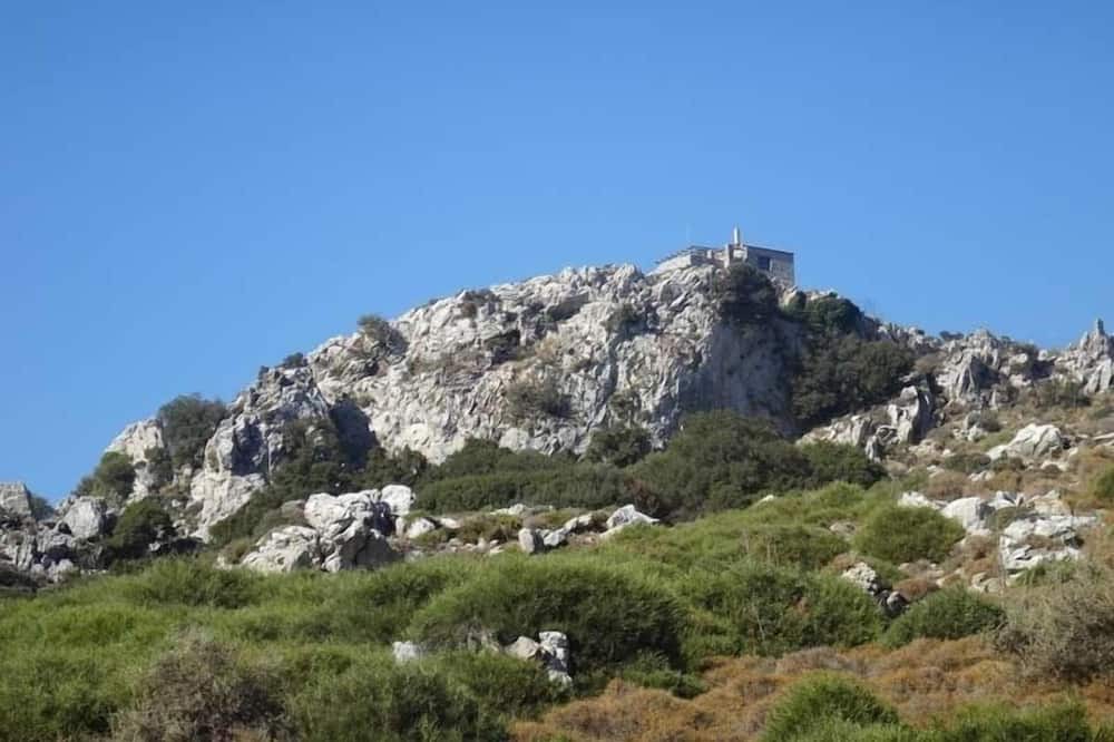 Photo of Others in Mesonisia